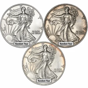 1 OZ AMERICAN SILVER EAGLE LOW PREMIUM