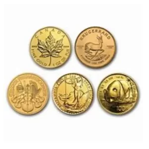 1 OZ GOLD COIN RANDOM TYPE