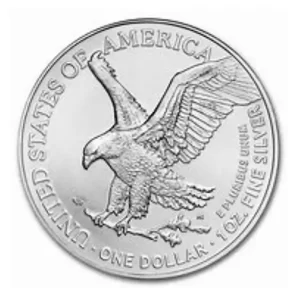 2025 1 OZ AMERICAN SILVER EAGLE