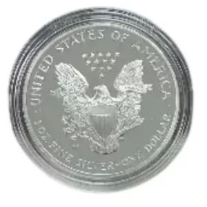 2006 1 OZ AMERICAN SILVER EAGLE W MARK
